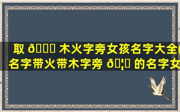 取 💐 木火字旁女孩名字大全(名字带火带木字旁 🦋 的名字女孩)